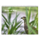 Search for birds of prey calendars Hawks