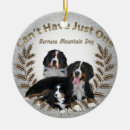 Search for stocking stuffer christmas tree decorations Dog