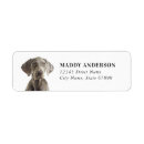 Search for weimaraner return address labels Cute