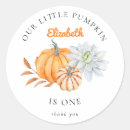 Search for birthday pumpkin stickers Turning one