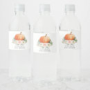 Search for water fall Baby shower
