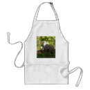 Search for resting aprons Wildlife