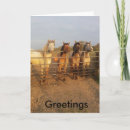 Search for highlanders cards Horses