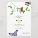 Search for insect baby shower invitations Butterfly