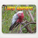Search for galah electronics Parrot