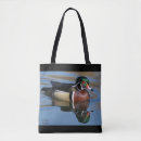 Search for reflections bags Nature