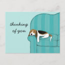 Search for couch postcards Pets