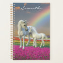 Search for unicorn planners Rainbow