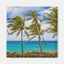 Search for coco magnets Sea