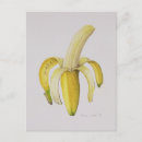 Search for peel postcards Yellow