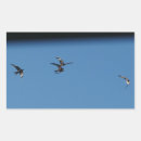 Search for kites stickers Flying