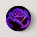 Search for drop badges Purple