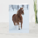 Search for running horse cards Snow