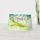 Search for praying mantis cards Funny