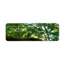 Search for bird on a branch return address labels Wildlife