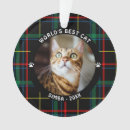 Search for pet supplies Cute