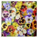 Search for pretty tiles Pansies