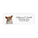 Search for pembroke return address labels Pet