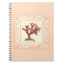 Search for borders notebooks Ocean