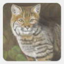Search for bobcat stickers Wildlife