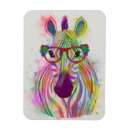 Search for splash magnets Rainbow