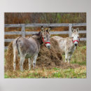 Search for mule posters Rural