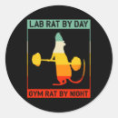 Search for gym rat stickers Muscle building
