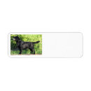 Search for black lab dog return address labels Funny