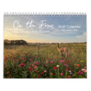 Search for two image template photography Cute animals