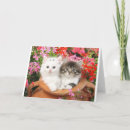 Search for yard cards Cute