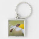 Search for ladybird key rings Outdoors