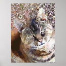 Search for tabby posters Cute