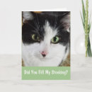 Search for stuffer postcards Cat
