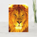 Search for lion pride cards Nature