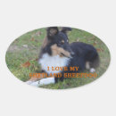 Search for sheepdog stickers Shetland