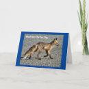 Search for does photography Wild animals
