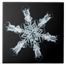 Search for natural sciences tiles Micrography