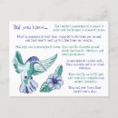 Search for hummingbird postcards Cute