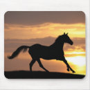 Search for equine mousepads Arabian