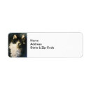Search for long hair cat return address labels Feline