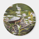 Search for pond turtle magnets Turtles