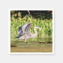 Search for blue heron napkins Wildlife