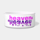 Search for kitchen pet supplies Cooking