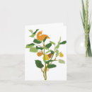 Search for partridge in a pear tree christmas cards Whimsical