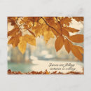 Search for leaf fall postcards Nature