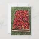 Search for berries vertical note cards Summer