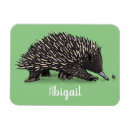 Search for cute bees magnets Funny
