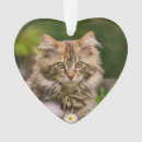 Search for maine coon christmas tree decorations Pet