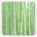 Search for bamboo forest stickers Aerial