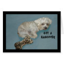 Search for humor note cards Pet
